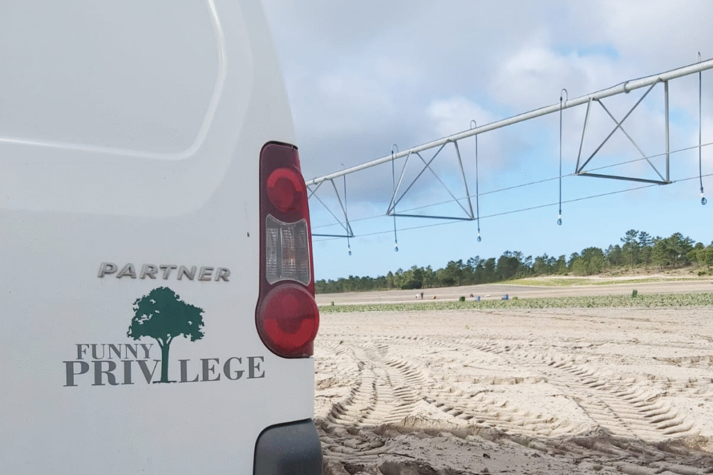 carrinha-funnyprivilege